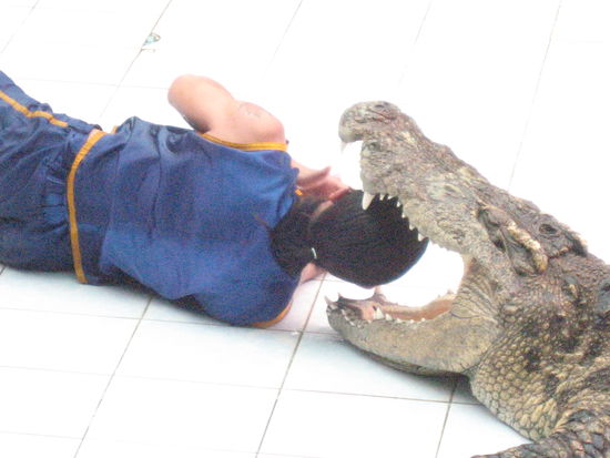 The Thais are craaazyyy people !