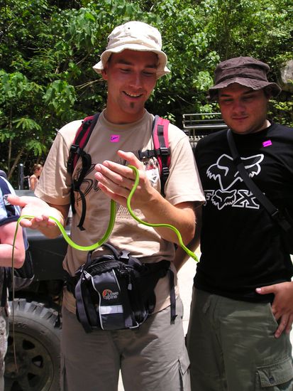 Halli und Trasse mit der gruenen Mamba
