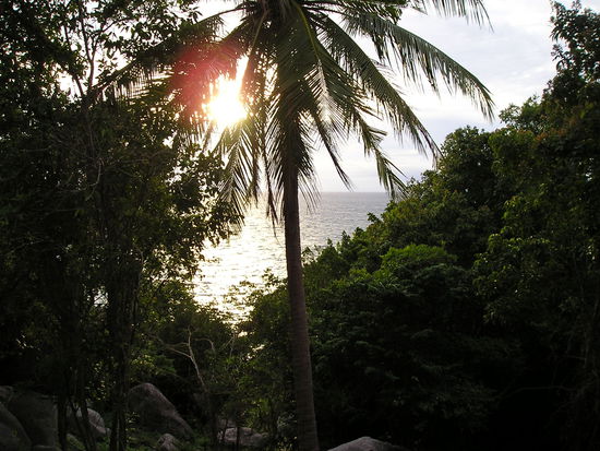 Blick von Koh Tao