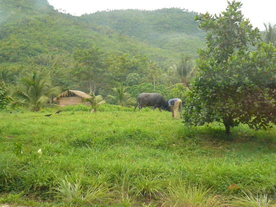 Wie gesagt alles fing recht harmlos an...