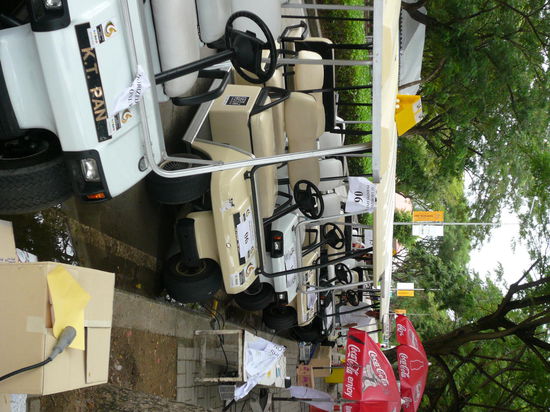 kommen auf Zuruf und fahren einen im Village wohin man will