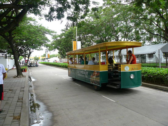 Hauptfortbewegungsmittel Nummer eins