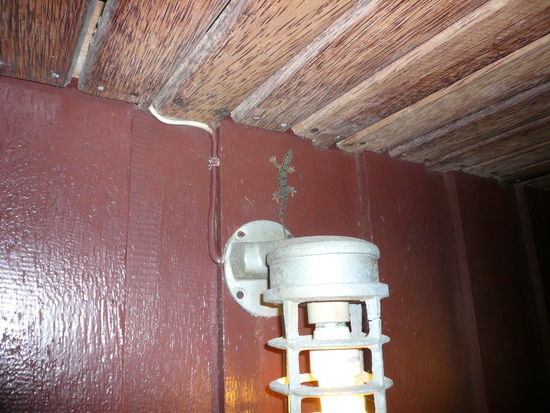 Unser persoenlicher Mueckenjaeger, der meist recht zuverlaessig arbeitet.