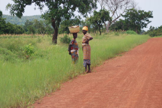 On the road to Tanouhou