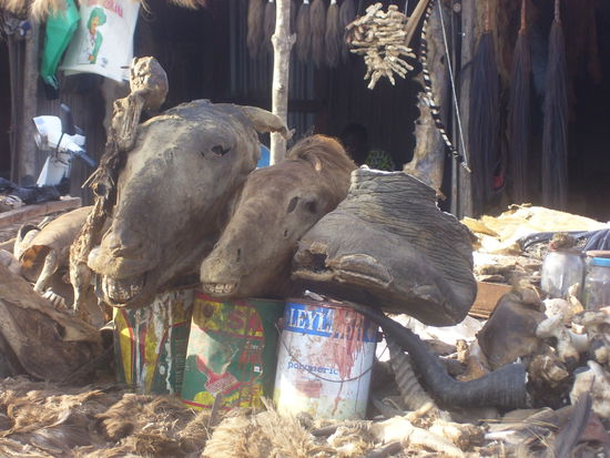 Benjamin, du lieber Elefant...