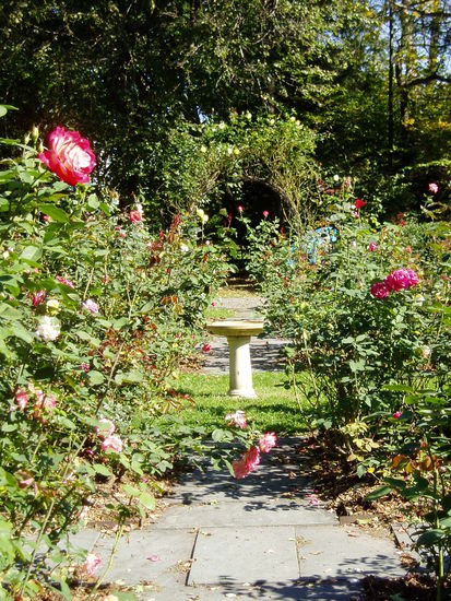 Rose Garden