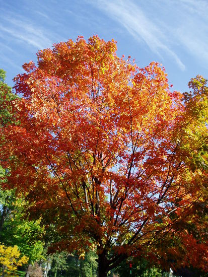 So siehts hier aus...