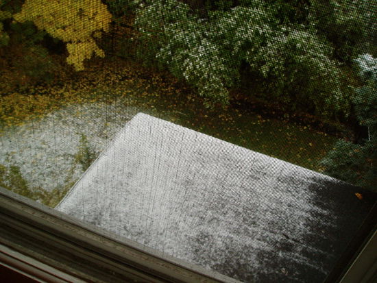 Blick aus meinem Fenster