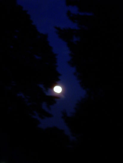 Nachts in New Jersey..man hoert nur Grillen zirpen-ein totaler Gegensatz zu dem New Yorker Stadtrummel!