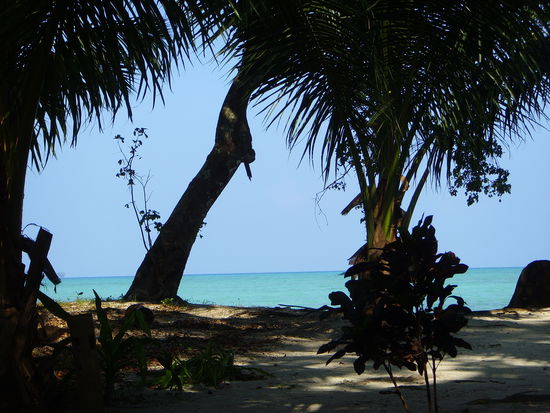 Der Ausblick aus meinem Huettchen ...