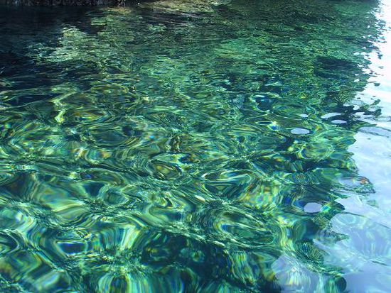 Erkennt ihr die vielen kleinen Fische direkt unter der Oberflaeche?! Das sah sooo cool aus!