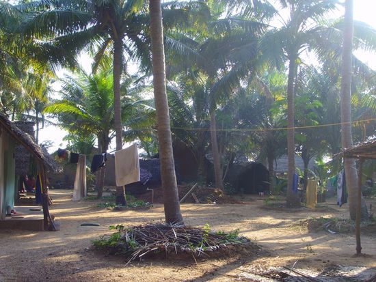 "Unser" Garten ... Hippieatmosphaere und ne Menge Getier around, hier mitten um Dschungel. Ach ja, und durchgeknallte Israelis - jede Nacht mutierten sie zu wilden Tieren (bleibt der Phantasie ueberlassen...) und huepften kreischend und bruellend (die Geraeusche kann ich in Worten nicht beschreiben) durch die Anlage. Klingt lustiger als es war, ich fands meganervig und bloed!