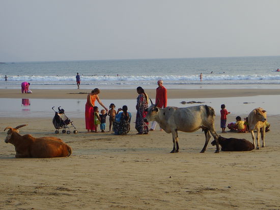 Ein Masala-Mix par excellence! 