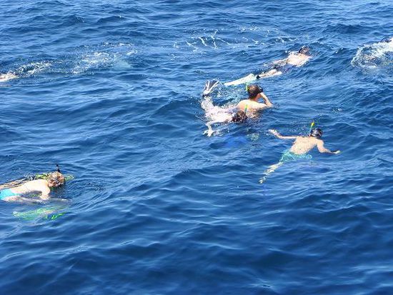 Ein Manta-Rochen wurde waehrend der Pause zwischen den Tauchgaengen gesichtet... also alle rein ins Wasser, grosses tohuwabohu (cooles Wort) veranstaltet und zack - weg war er! Haette ich ganz genauso gemacht, schlauer Manta!