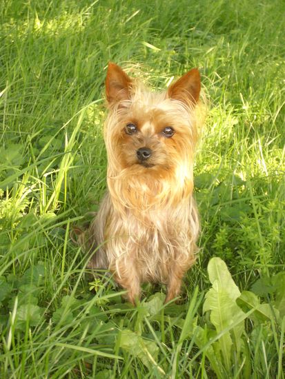 Und Sunny! Meine Süße-Maus..
