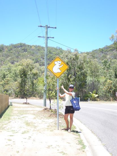 Es gibt viele Koalas auf der Insel, deshalb die vielen Schilder