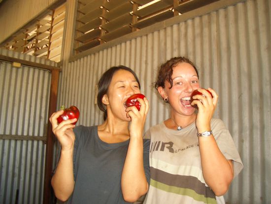 Kaum zu glauben das wir nach der Arbeit immer noch was zu lachen hatten! ahhhhhhh