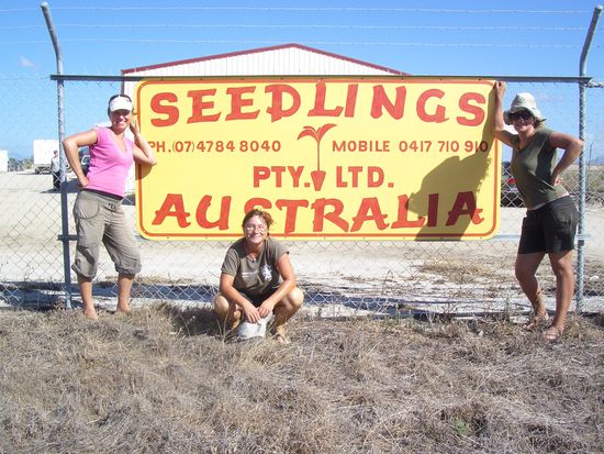 Eine Woche haben wir kleine Teebaeume gepflanzt! Ein chilliger Job-da haette ich gern noch laenger gearbeitet aber da sie nur noch eine Woche Arbeit hatten gings weiter...Chillis pfluecken.