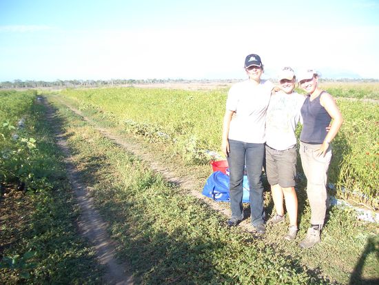 Beim Chilli pfluecken mit Lisa u Anna!