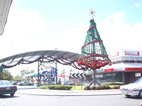 So sieht der Weihnachtsbaum in Ayr aus!!!