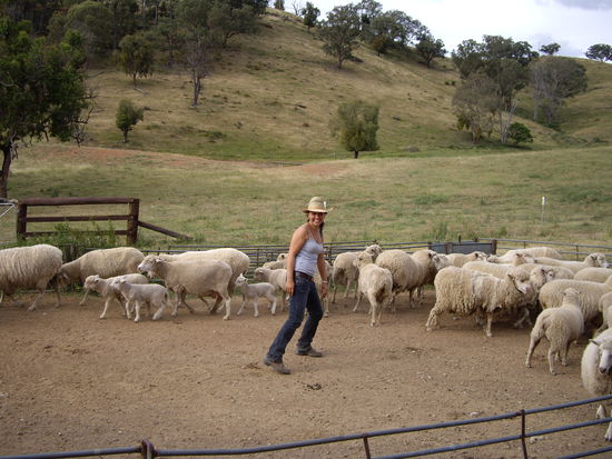 Zum Schafe einfangen.... hab auch eins gefangen (nur ein kleines das war nicht so schnell 