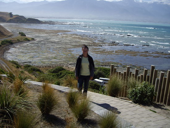 Kaikoura Lookout