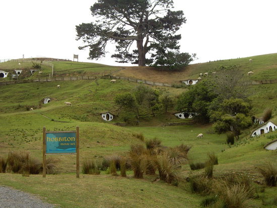 Hobbiton Movie Set... von Herr der Ringe! Bei Matamata