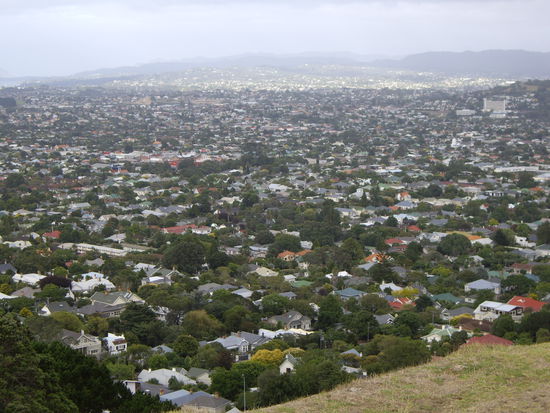Ueber den Daechern von Auckland (Die groesste Stadt in Neuseeland)