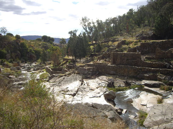 Unser Camping/Angelausflug in den Nationalpark bei Wagga Wagga!!! (Ich bin nicht betrunken es HEISST WAGGA WAGGA) auf jeden fall Fisch haben wir nicht einen einzigen gefangen, dafuer haben wir unsere Kartoffeln gegessen. U Bild gibt es auch nur dieses da ich mitsamt meiner schoenen Camera in den Fluss fiel ABER zum Glueck trocknet die australische Sonne alles wieder u meine "Cam" ging nach zwei Tagen wieder! Was fuer ein Glueck. jihaaaaaaa