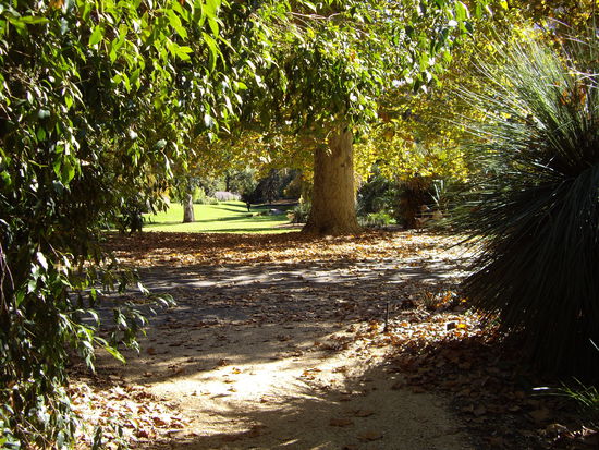 Schoen langsam wird es Herbst u es fallen schon die Blaetter 