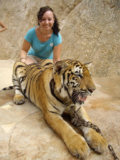 Tiger Tempel... man konnte Fotos mit den Tigern machen also habe ich mich mal von hinten angeschlichen... er hat mich am leben gelassen.