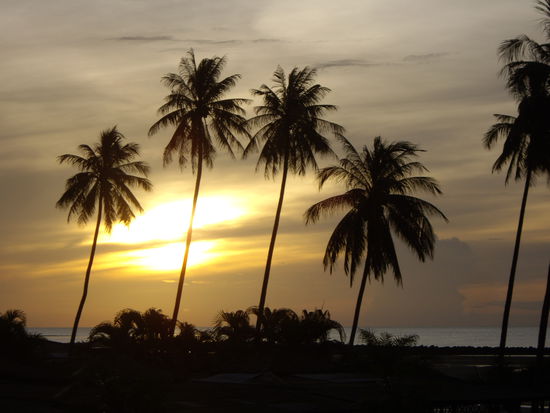 Sonnenaufgang kurz nach sechs...