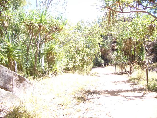 Kakadu Nationalpark 153 km oestlich von Darwin