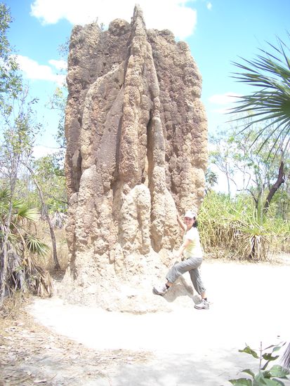 Riesiger Termitenhuegel