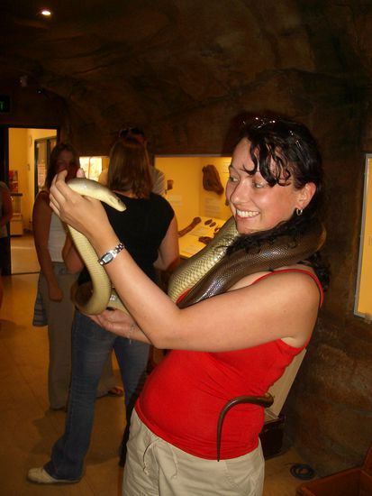 Diese ist nicht giftig sondern ist NUR ne Python also ne Wuergeschlange...