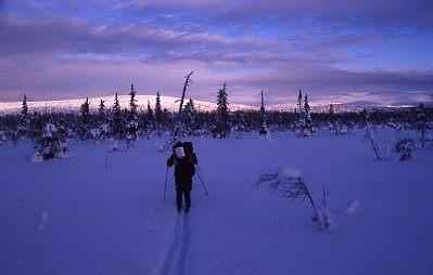 Im Urho-Kekkonen-Nationalpark