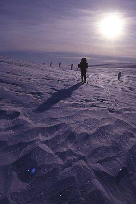 Nachmittagsstimmung am Heimweg zum Kilopää Fjell Centre