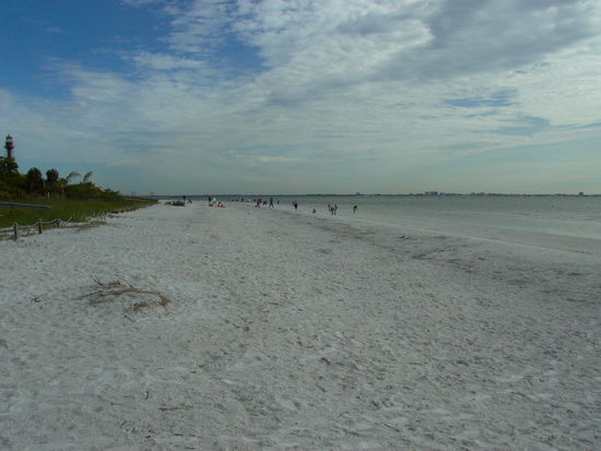 Strand mit Muschelsuchern