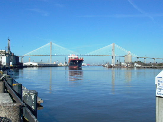 Great Savannahbridge
