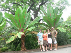 im Botanischen Garten