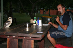 Abendbrot mit einem laughing Kookaboora (lachender Hans)