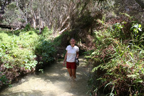 Wanderung durch Eli Creek (Fluss) auf Fraser Island