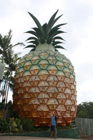 Steffen an der "Big Pineapple"