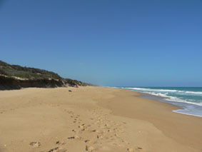 der 90 Mile Beach - zwar nicht Wustrow - aber man kann ja nicht alles haben