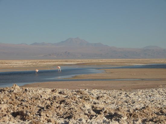 Lago Chaxa