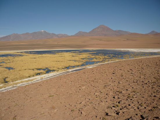 Wasser in der Wueste