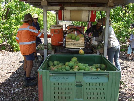 ein bin voller feinde, 6 bins am tag. jiiiihaaaaaa