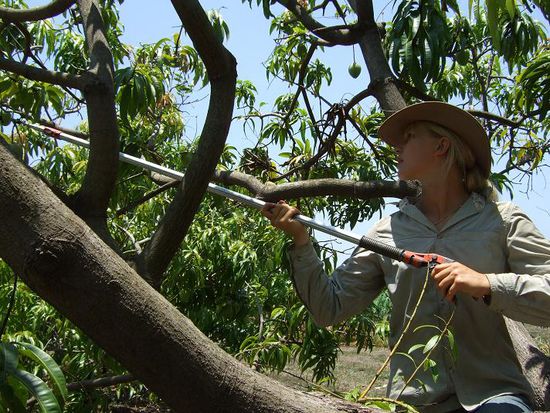 brandene mit longsnipper, den feind bekaempfend