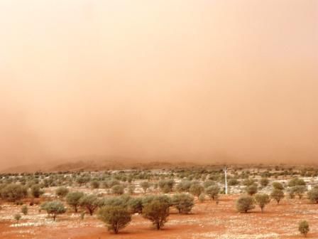nicht zu sehen: die huegelkette im hintergrund.
achja, dieser sand findet seinen weg in ziemlich jede koerperoeffnung