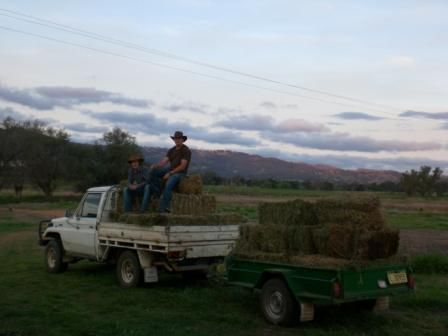 Brokeback Mountain II